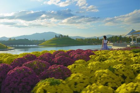 Suncheon and Yeosu Daily Private Tour 