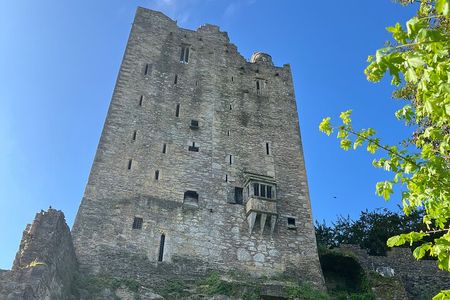 Blarney Castle/Cork City Minibus Tour with National Tour Guide.