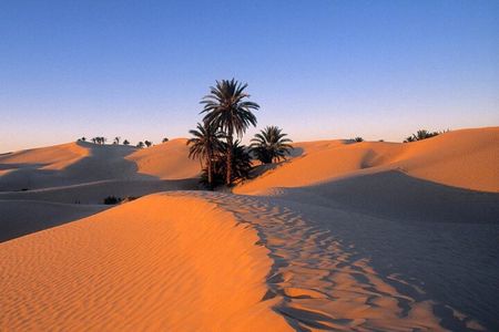 3 Days Between Bedouin Tent and Berber Gite in the Tunisian Desert