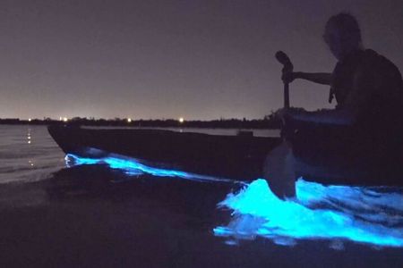 Bioluminescence Clear Kayak or Paddleboard Tour Near Orlando