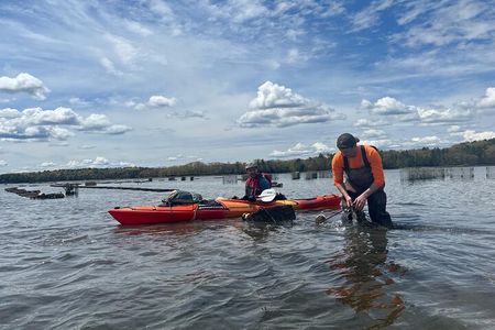 Oyster Tasting and Kayak Tour