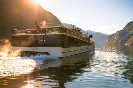 Private guided tour - Premium Nærøyfjord Cruise and Flåm Railway