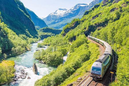 Private guided tour - Premium Nærøyfjord Cruise and Flåm Railway