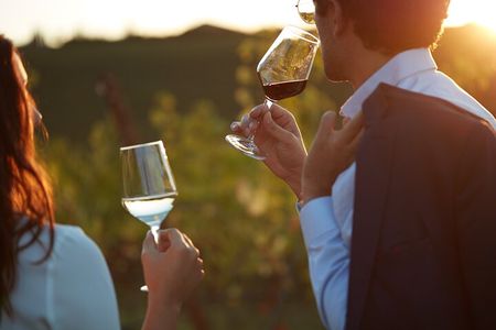 Experience Emilian Wines at Bologna Vineyard Vista