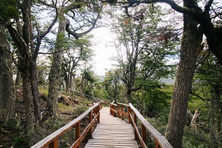 Tierra Del Fuego National Park Tour