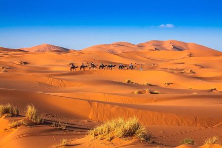 Two Days and One Night Desert Adventure from Marrakech to Zagora