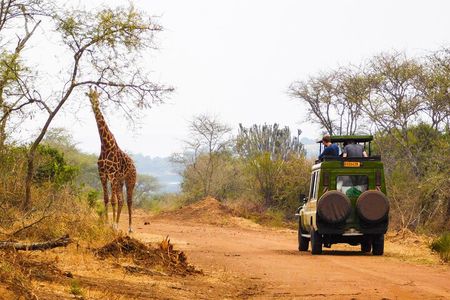 2 Days Akagera National Park Wildlife Safari