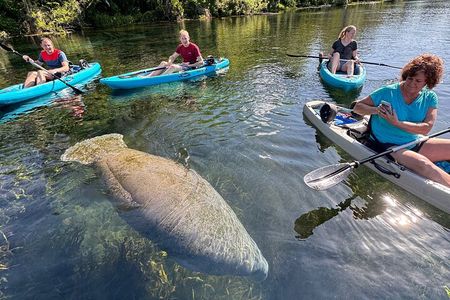 Silver Springs Glass Bottom Kayak Tour