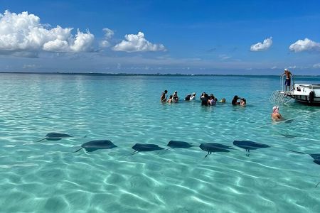 StingrayCity ,Coral Garden & Starfish Tour.