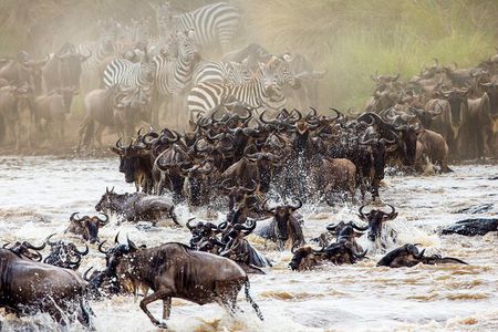 From Plains to Crater: 3-Day Midrange Safari in Northern Tanzania