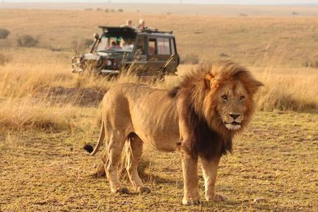 6 Days lodge &camping tour Serengeti ,Tarangire ,Ngorongoro Crater and Manyara