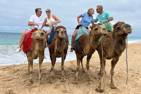 Tangier Half-Day Private Tour & Camel Ride Experience