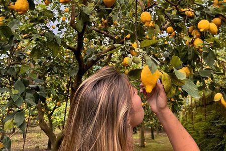 Nonno Mario Sorrento Lemon tour