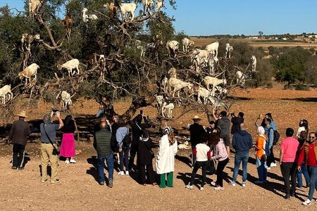 Private Guided Essaouira Day Tour