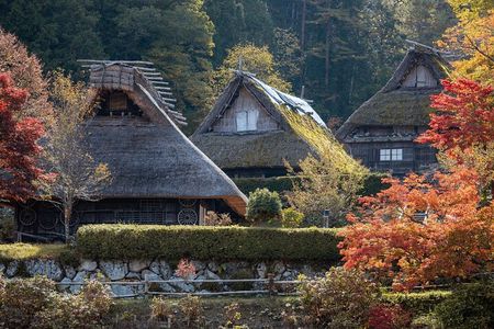 Takayama Private Customizable Full Day Tour