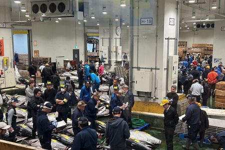 Morning Market Adventure: Toyosu & Tsukiji with Tuna Auction