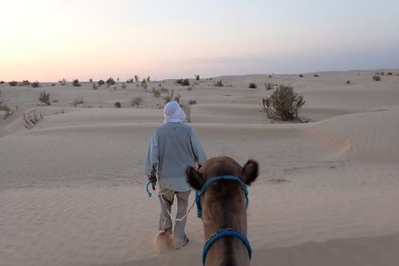 Sahara 1 Night Bivouac Desert Dunes Camel Trek with Camping