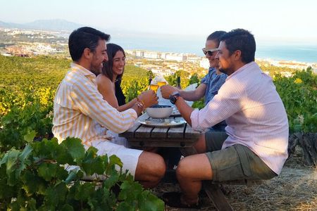 Manilva Oceanfront Wine Experience in the Marbella Area