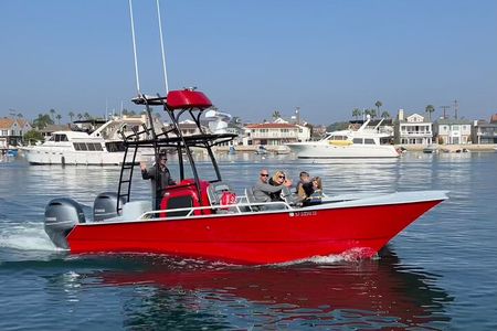Ultimate Whale and Dolphin Watching