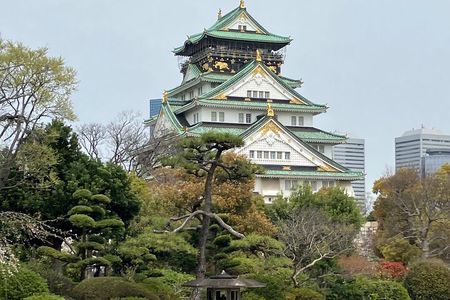 Private Osaka Tour with Hotel Meet Up