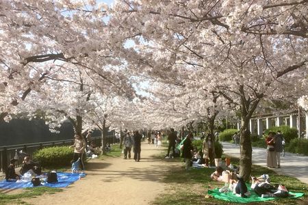 Private Osaka Tour with Hotel Meet Up