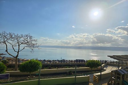 Private Half-Day Tour to the Dead Sea from Amman 