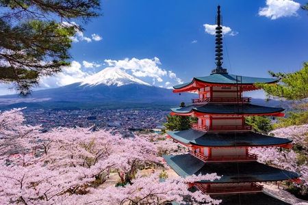 Private Mount Fuji and Hakone One Day Tour