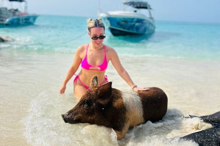 Half Day - Pigs, Turtles, Snorkel & Lunch