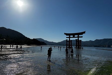 Miyajima Island Tour with Certified Local Guide