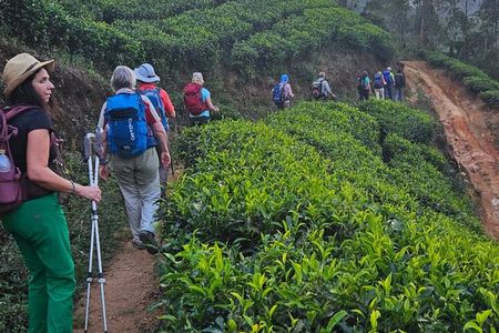 Half Day Hiking With Waterfall