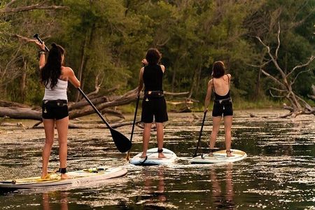 Paddleboard Eco Tour in Toronto Islands, Canada