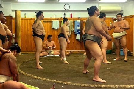 Tokyo Walking Tour : Sumo, Sushi, Tea, Temples and Tokyo Tower