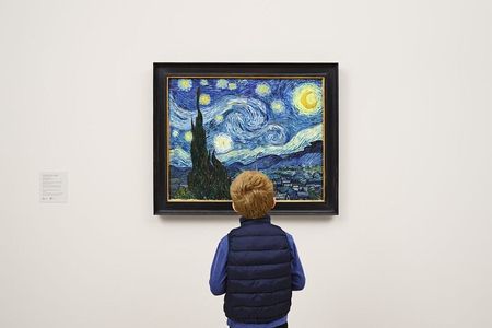 Visit the Museum of Modern Art and Manhattan Walking Tour