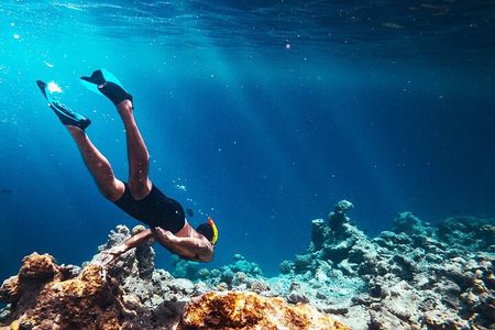 Abu Dabbab Semi Private Snorkeling with Lunch & Transfer Hurghada