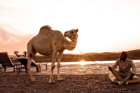 1000 & 1 Night at the Agafay Desert - White Camel Camp Experience