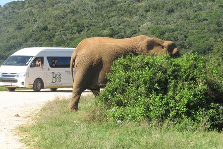 5 Day Garden Route Tour and Addo Elephant National Park 