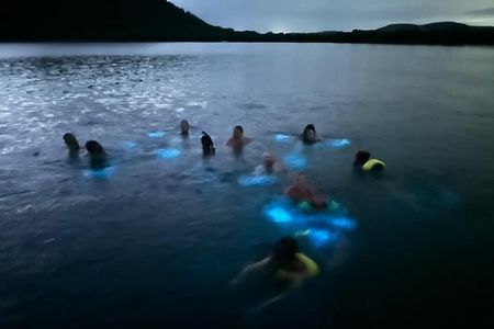 Bio Bay Swimming Experience with Boat Transport from La Parguera