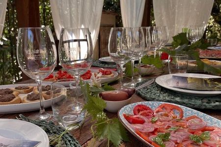 Lucca - Wine tasting at Tenuta Mareli