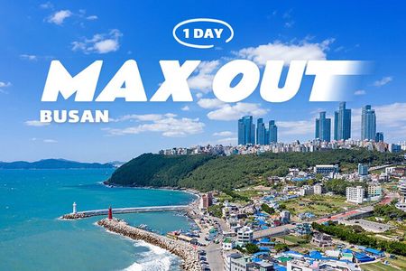 Max Out Busan: Highlight Top Attractions One Day Tour