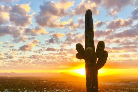 Spectacular Sunrise Guided Hike in Phoenix, Arizona