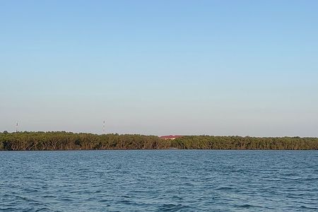 Can Gio Mangrove Forest & Authentic Thanh An Island Private Tour