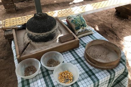 Tour Visiting banana plantation and winery in Tenerife