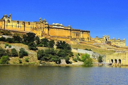 7-Day Golden Triangle & Ranthambore Wildlife Safari from Delhi