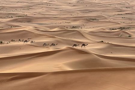 Dubai Red Desert Safari on Private 4x4, Sand Boarding, Camel 4hrs