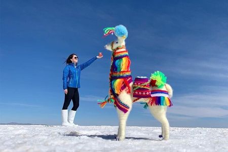 Uyuni Salt 1 day Tour with guide in English + Lunch and Sunset