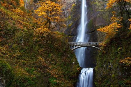 Columbia Gorge Waterfalls: Botanical Discovery Hike