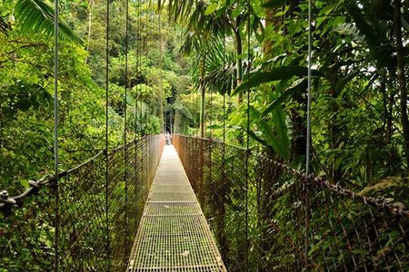 13 Days Essential Costa Rica with extension to Manuel Antonio Beach & San Jose