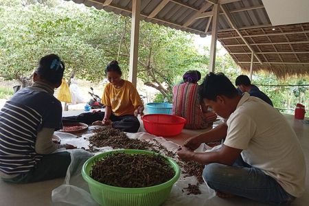 Kampot/Cambodia pepper farm . Cave. lake. Kep Crab market & more.