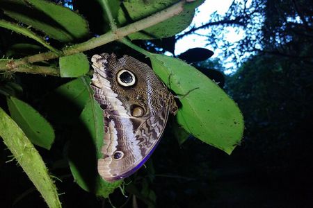 Private Night Observation Hike