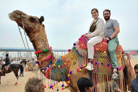 Golden Triangle with Rajasthan 7 Night 8 Day Private Luxury Tour
